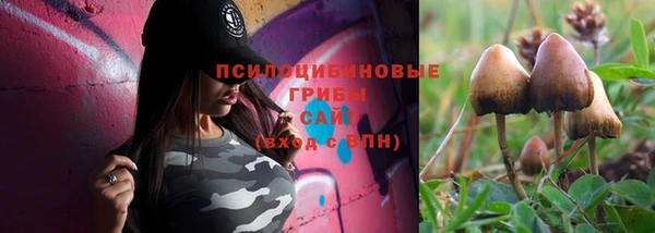 спайс Киреевск