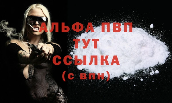 СК Кинешма
