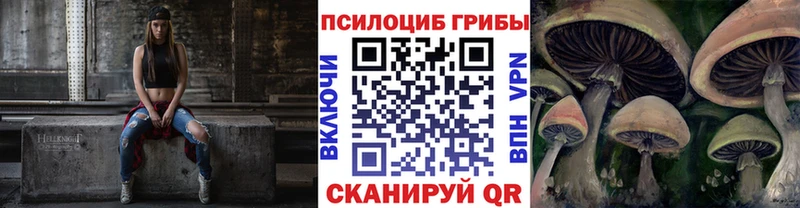Купить закладки  Белинский  Псилоцибиновые грибы GOLDEN TEACHER 